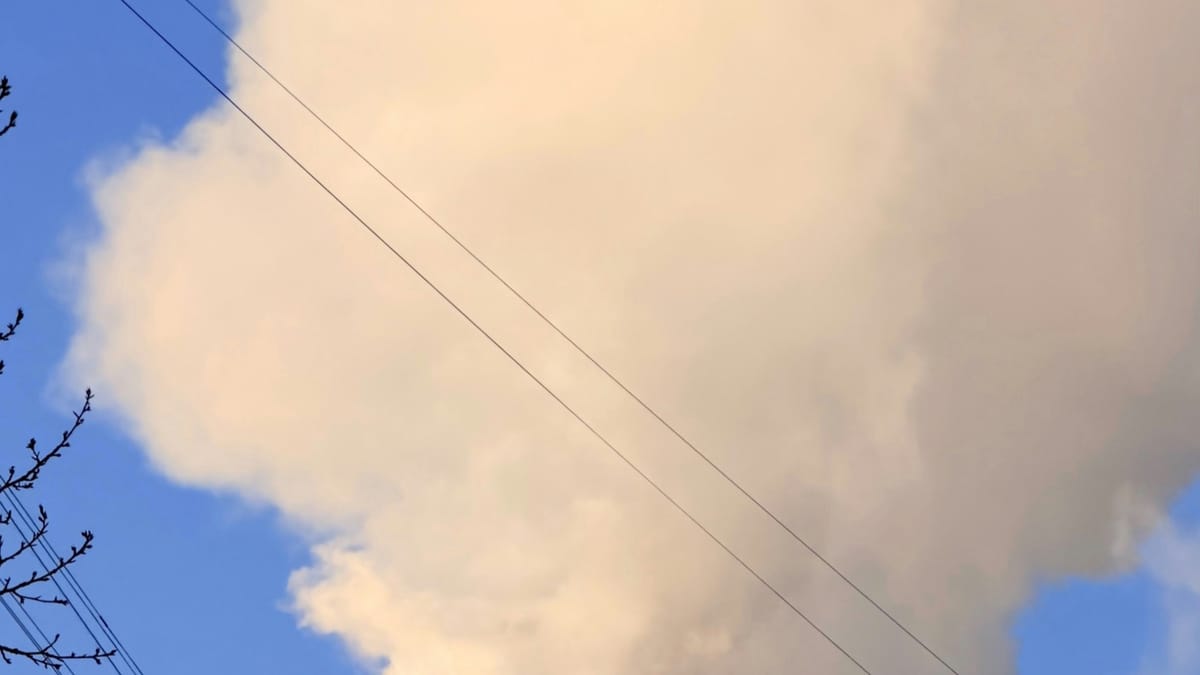 What is the EU ETS and how does it work?