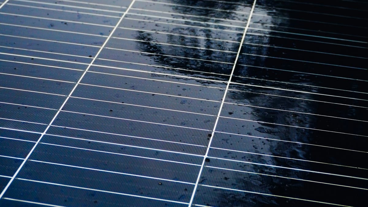 Net zero vs carbon neutral: what's the actual difference?