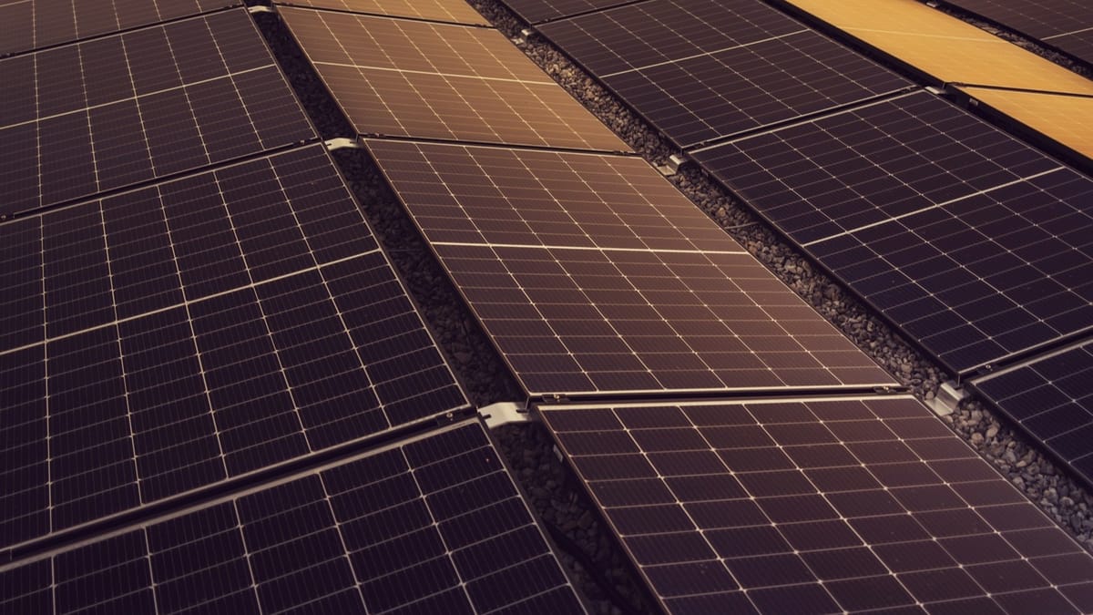 A 30-day net zero action plan for small businesses