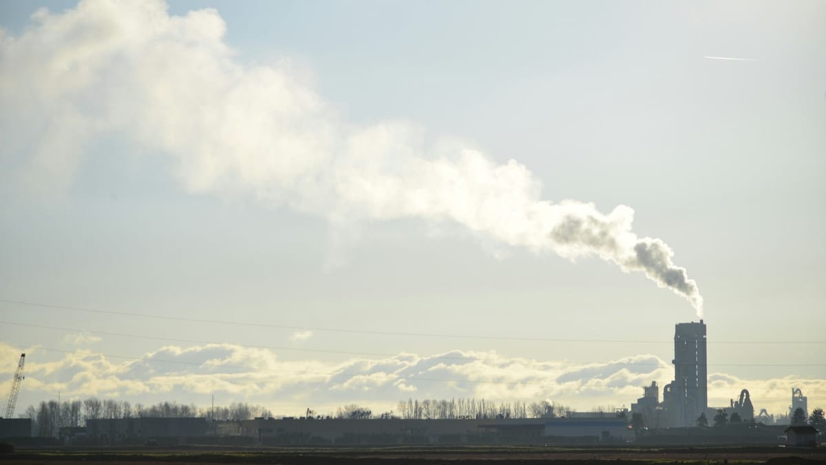 The voluntary carbon market in 2026: state of play