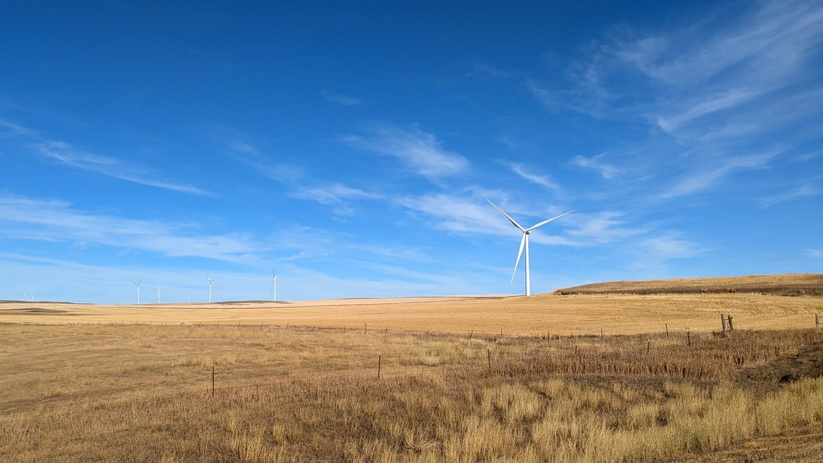 What are green bonds and how do they work?