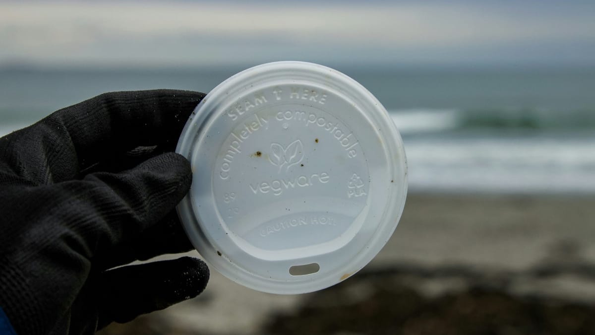 What is greenwashing - and how do you spot it?