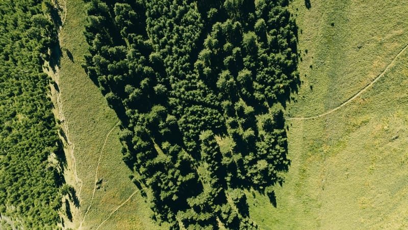 Why CORSIA matters for the voluntary carbon market