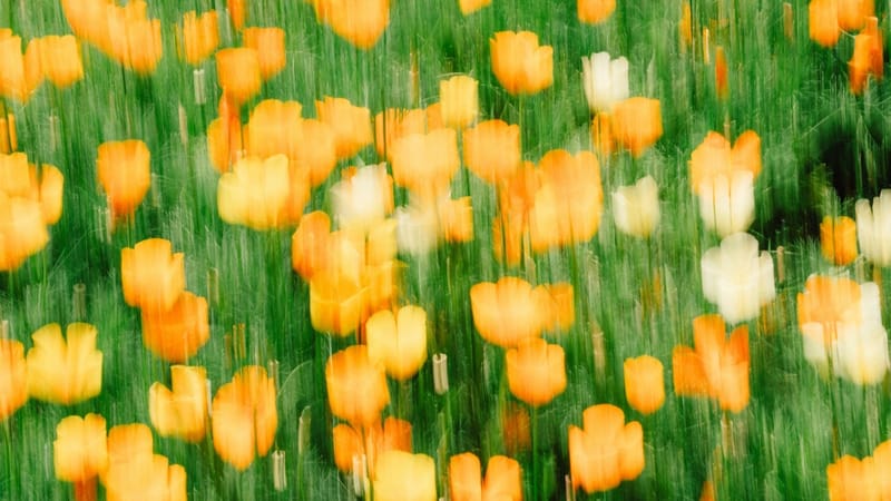 ESG data room checklist: what evidence should you keep?