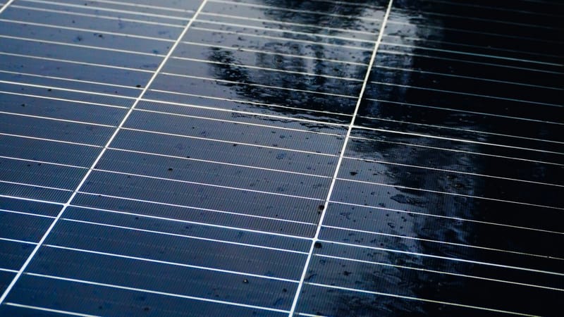 Net zero vs carbon neutral: what's the actual difference?